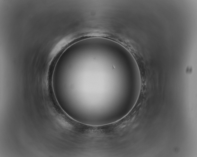 X0000091490296200708161444