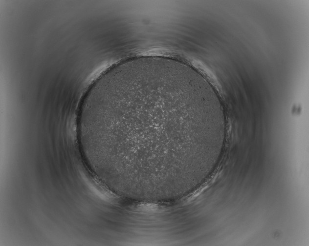 X0000091490298200708161444