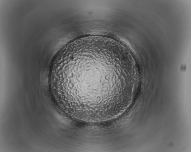 X0000091490299200708161444