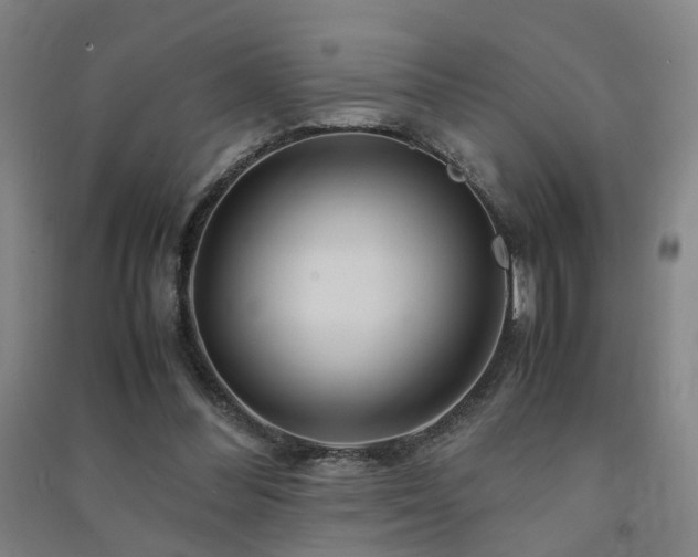 X0000091490300200708161444