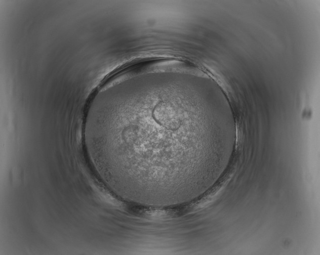 X0000091490301200708161444