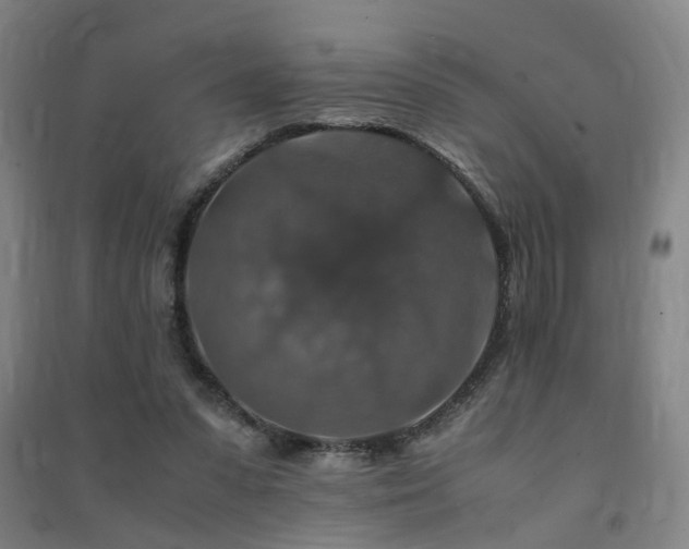 X0000091490303200708161444