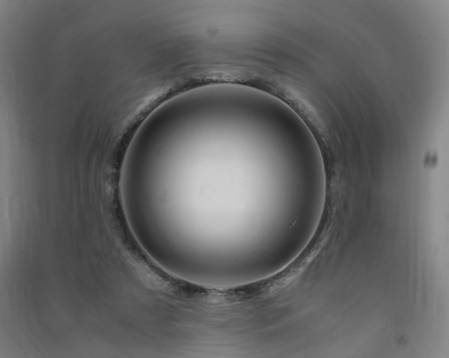 X0000091490305200708161444