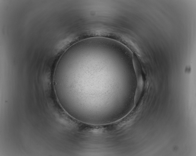 X0000091490306200708161444