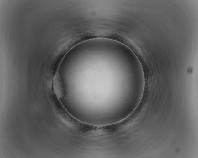 X0000091490307200708161444