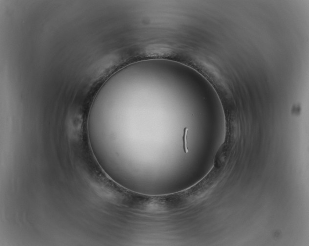 X0000091490308200708161444