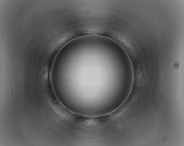 X0000091490310200708161444