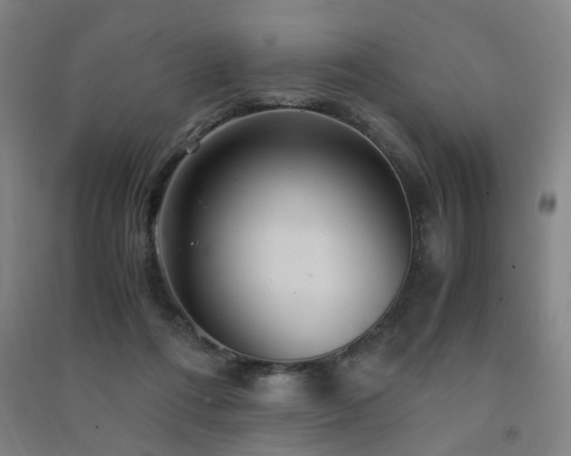 X0000091490312200708161444