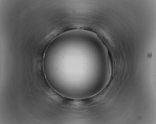 X0000091490313200708161444