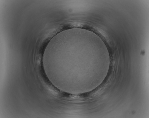X0000091490315200708161444