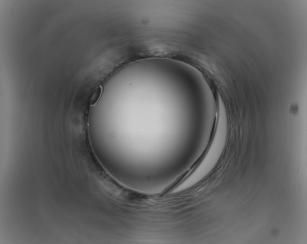 X0000091490317200708161444