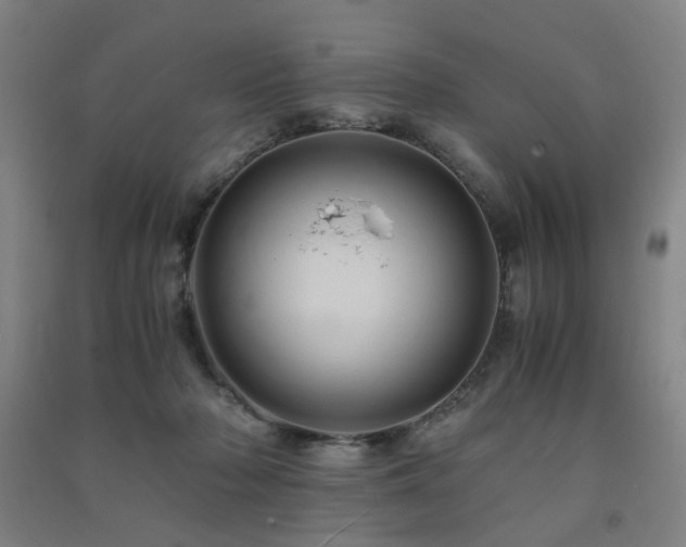 X0000091490318200708161444