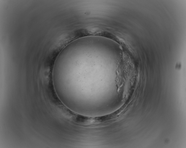 X0000091490319200708161443