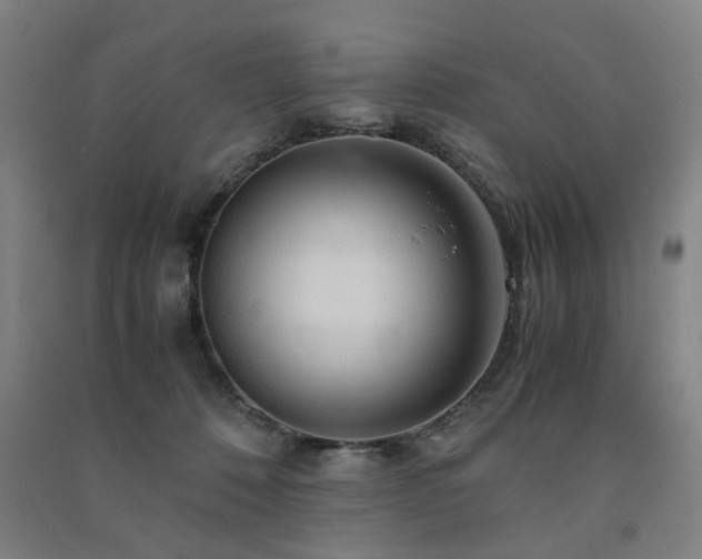 X0000091490320200708161443