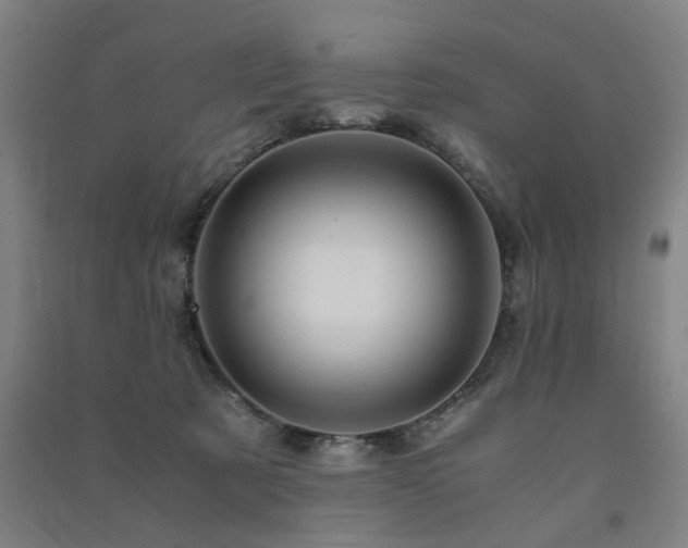X0000091490321200708161443