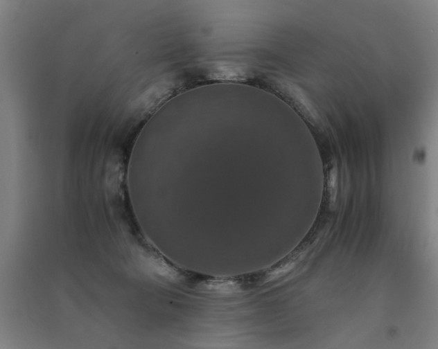 X0000091490322200708161443