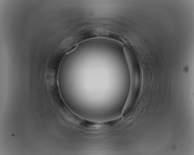 X0000091490323200708161443