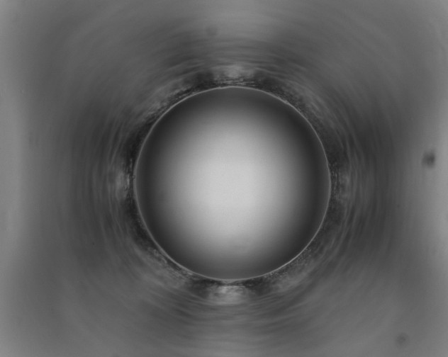 X0000091490324200708161443