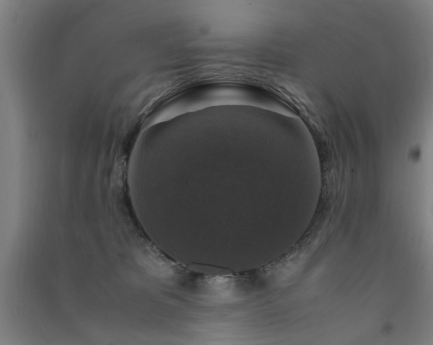 X0000091490325200708161443