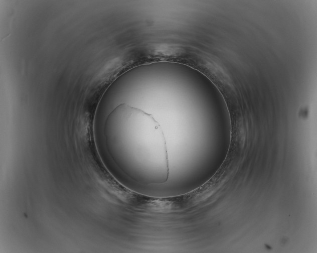 X0000091490328200708161443