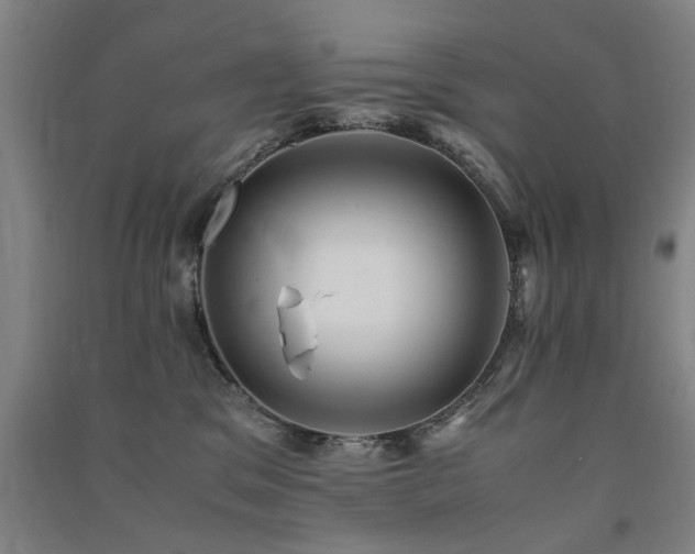 X0000091490329200708161443