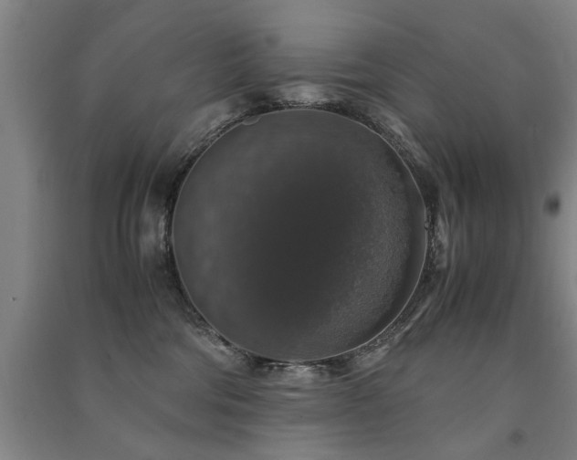 X0000091490330200708161443