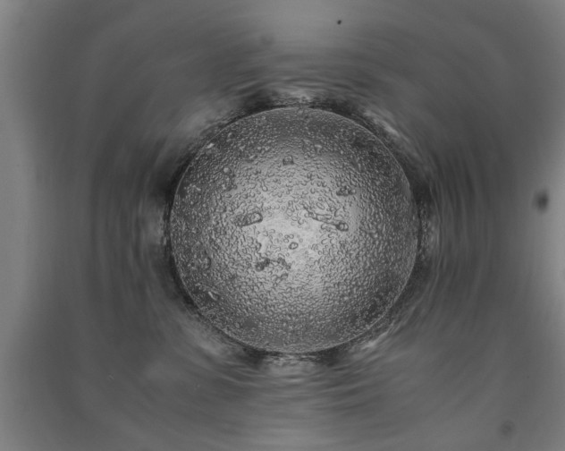 X0000091490331200708161443