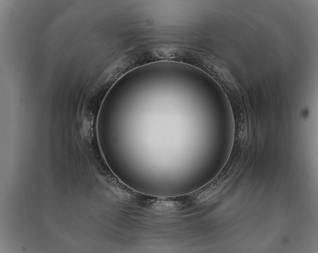 X0000091490332200708161443