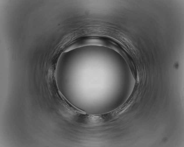 X0000091490333200708161443