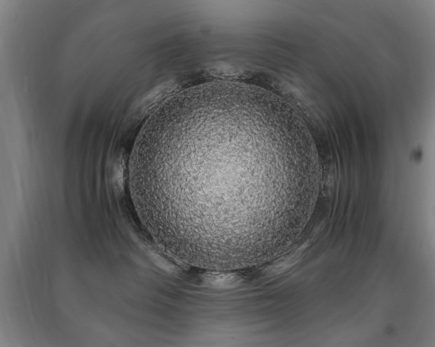 X0000091490334200708161443