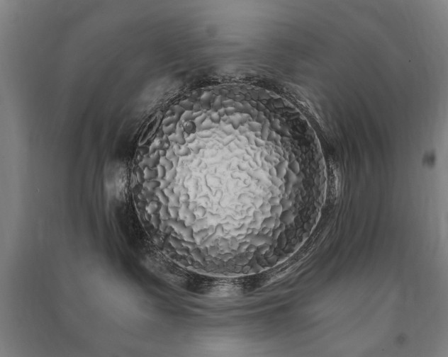 X0000091490335200708161443
