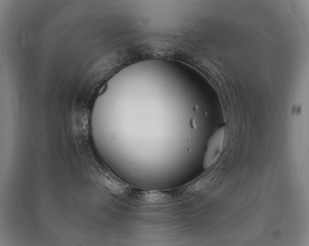 X0000091490336200708161443
