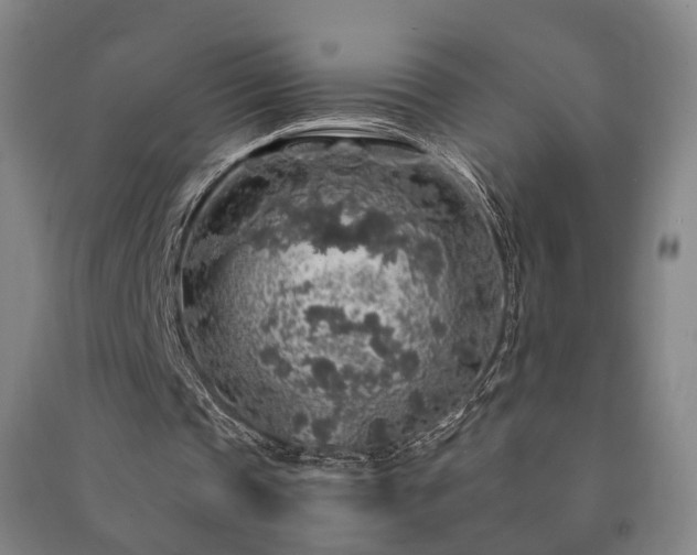 X0000091490337200708161443