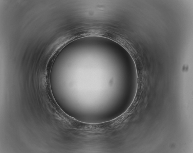 X0000091490338200708161443