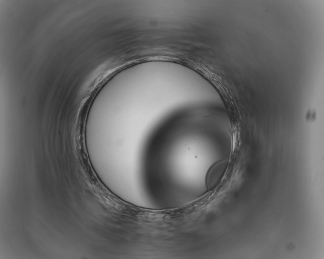 X0000091490339200708161443