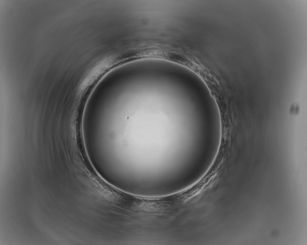X0000091490341200708161443