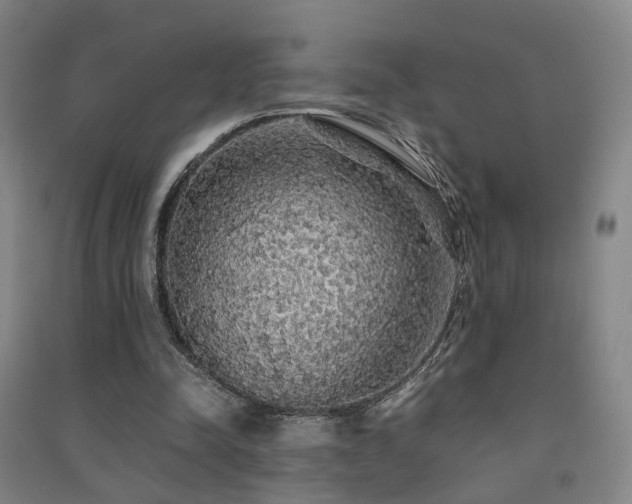 X0000091490342200708161443
