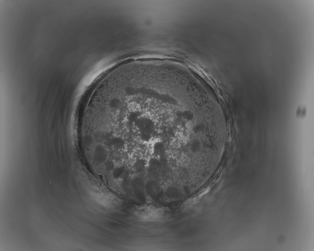 X0000091490343200708161443