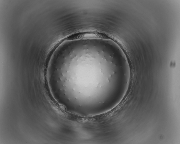 X0000091490345200708161443