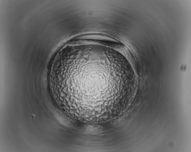 X0000091490346200708161443