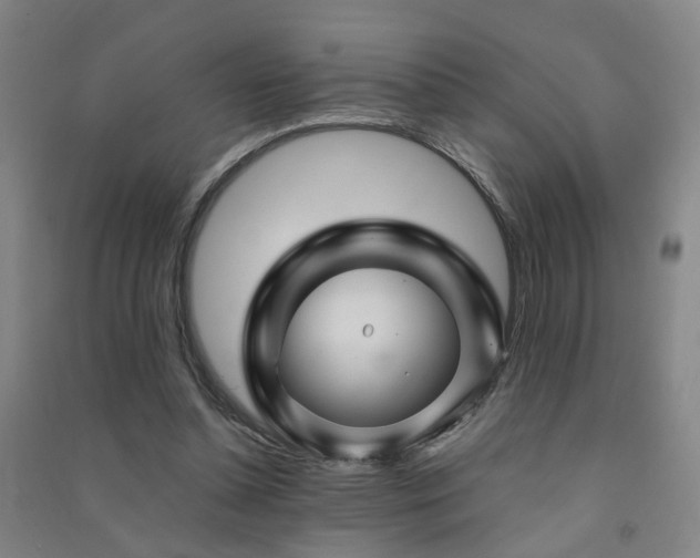 X0000091490348200708161443