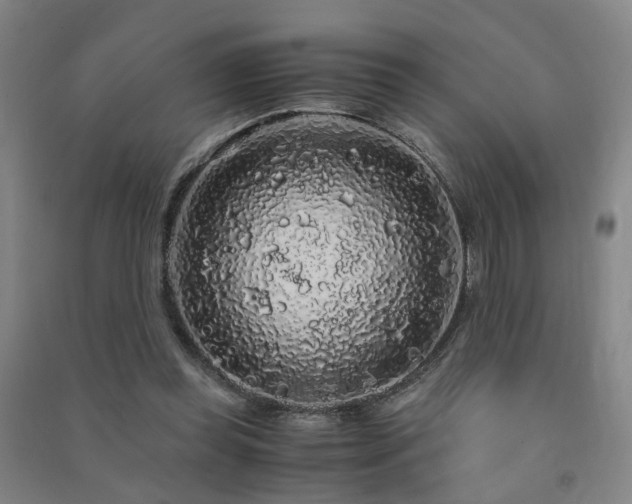 X0000091490349200708161443