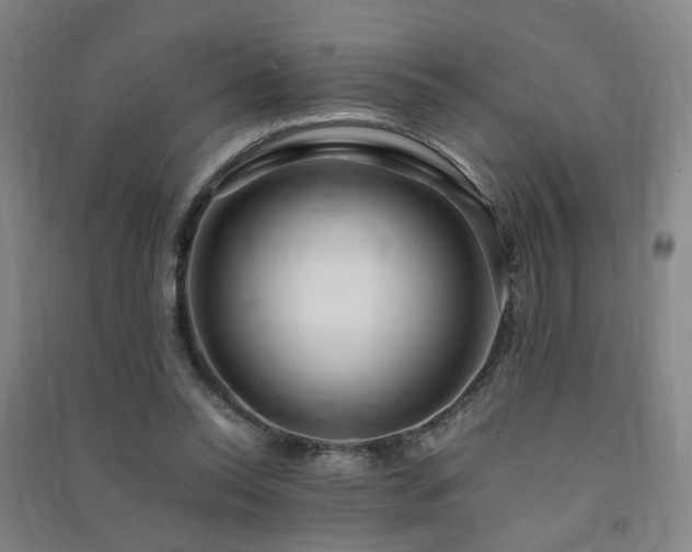X0000091490350200708161443