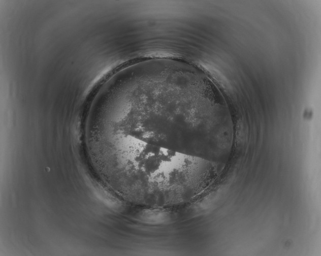 X0000091490351200708161443