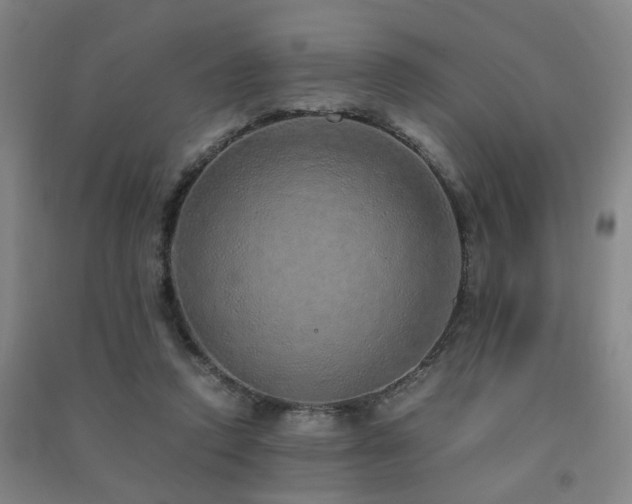 X0000091490354200708161443