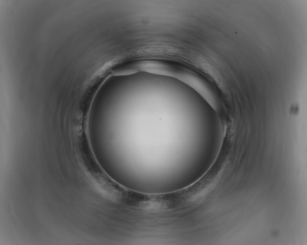 X0000091490356200708161443