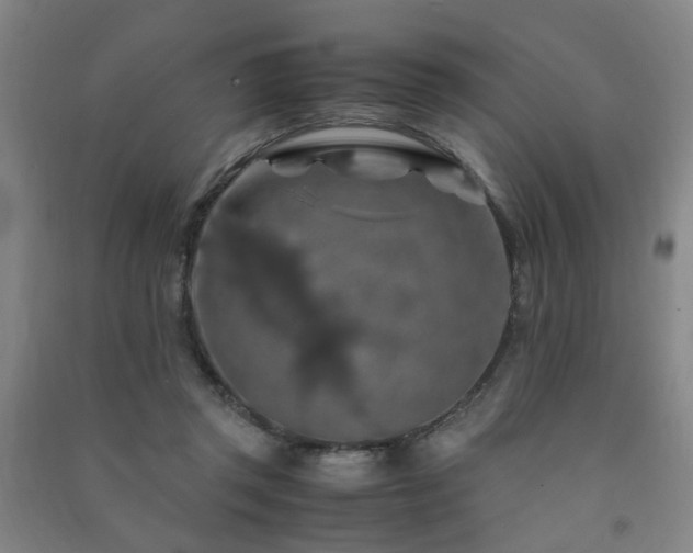 X0000091490357200708161443