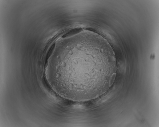 X0000091490358200708161443