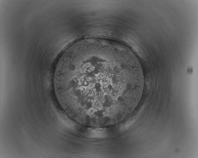X0000091490359200708161443