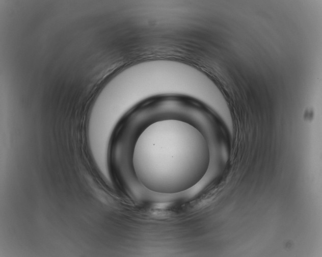 X0000091490360200708161443